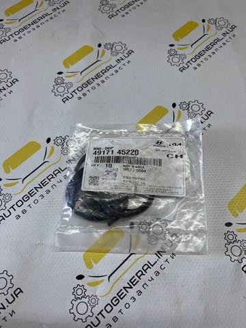  Hyundai/Kia 4917145220 цена, от 0.42 USD