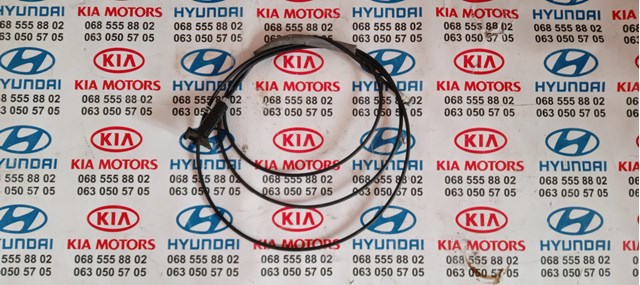  815902S000 Hyundai/Kia