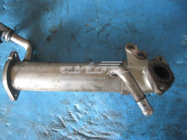 6C1Q9F464BC Ford 