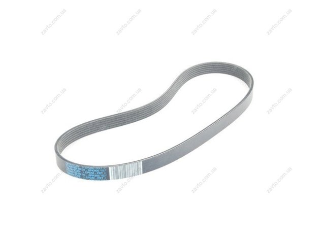 Correa trapecial poli V 11287566789 BMW