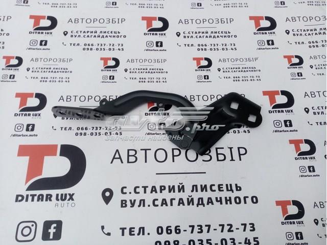 Купить PFD21170AL Signeda Завеса капота левая