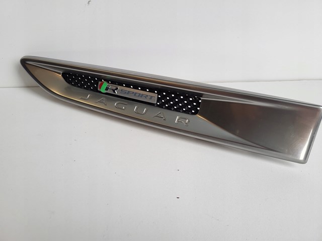 T4A7769 Jaguar 