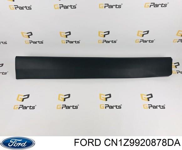  CN1Z9920878DA Ford