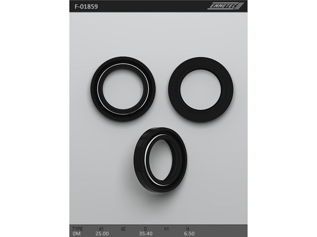  F00376T MSG