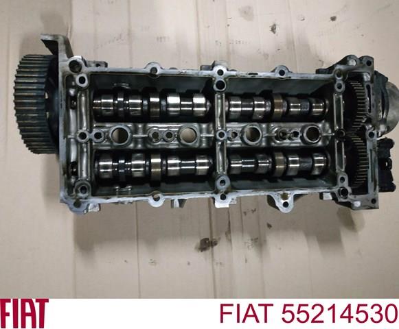 Compre Cama da árvore distribuidora Fiat Punto 