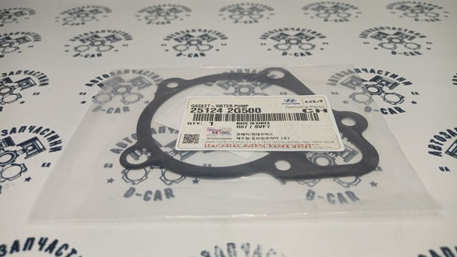 251242G500 KAP Прокладка водяного насоса