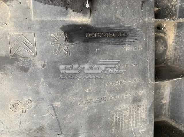  Peugeot/Citroen 9683459180
