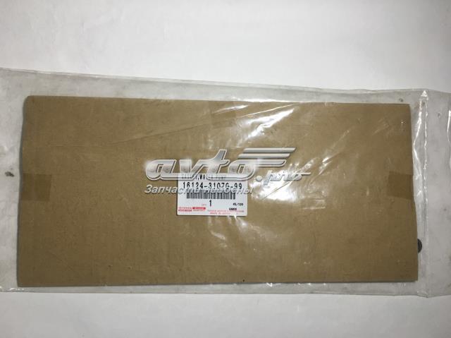  Toyota 161243107099