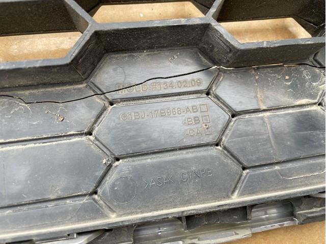 C1BJ17B968AB Ford 