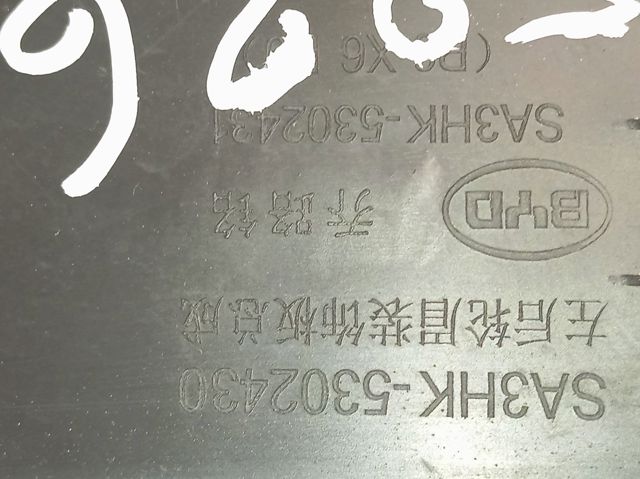  SA3HK5302430 BYD