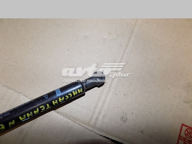 844309Y000 Nissan/Infiniti Амортизатор крышки багажника