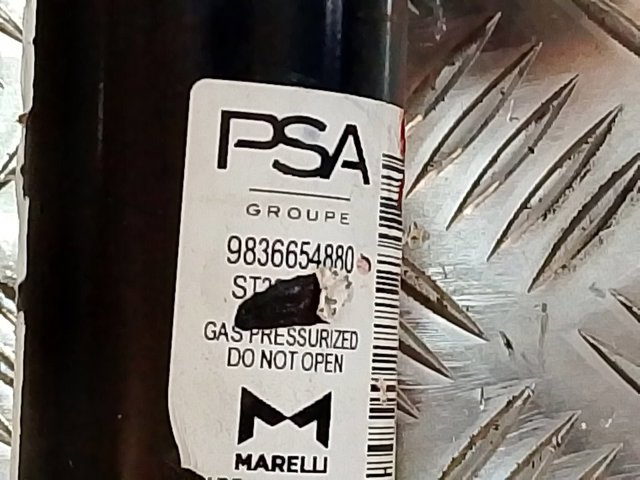 9836654880 Peugeot/Citroen Амортизатор передней подвески правый