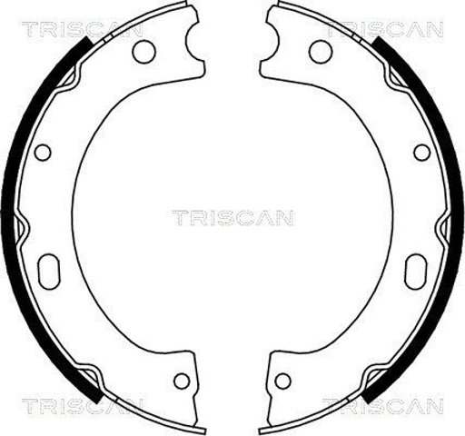 Гальмівні колодки стоянкового гальма 810014011 TRISCAN