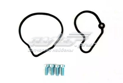 DRM0251 Ремкомплект вакуумного насоса DR.MOTOR DRM0251