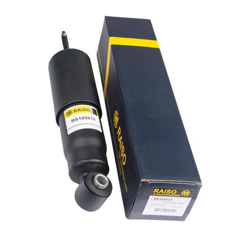 RS105819 Raiso Стойка передняя