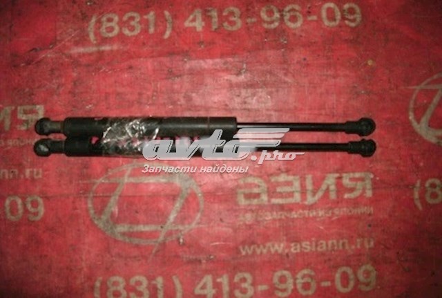 Амортизатор багажника 844309Y000 Nissan/Infiniti