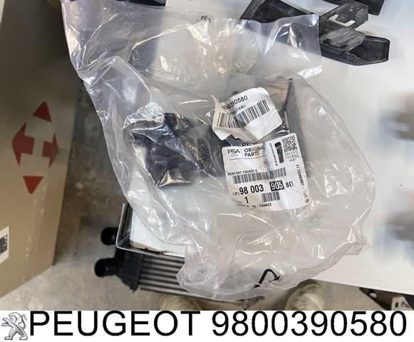  9800390580 Peugeot/Citroen