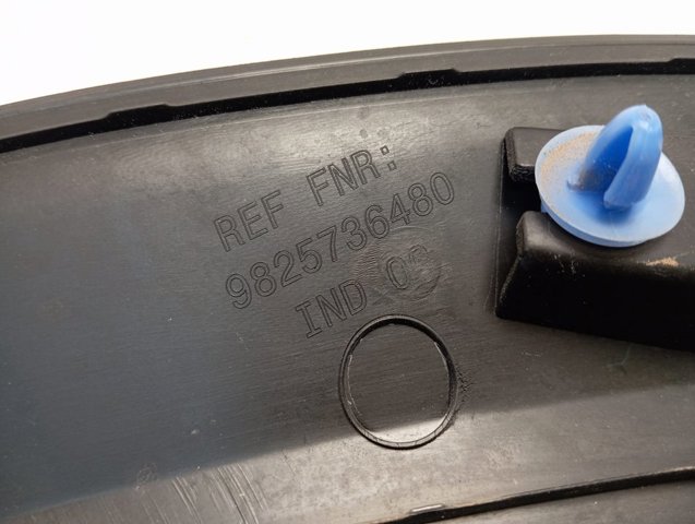 Купить 9825736480 Peugeot/Citroen 