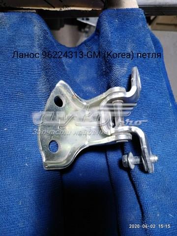 Bisagra de puerta trasera izquierda 96224313 GM