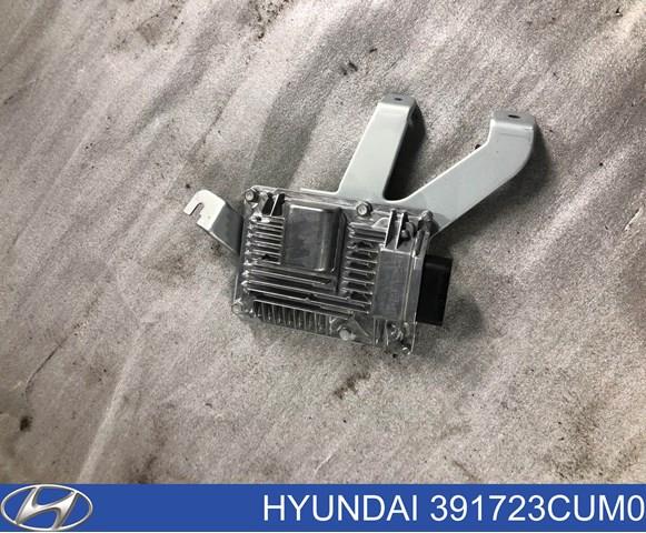 391723CUM0 Hyundai/Kia 