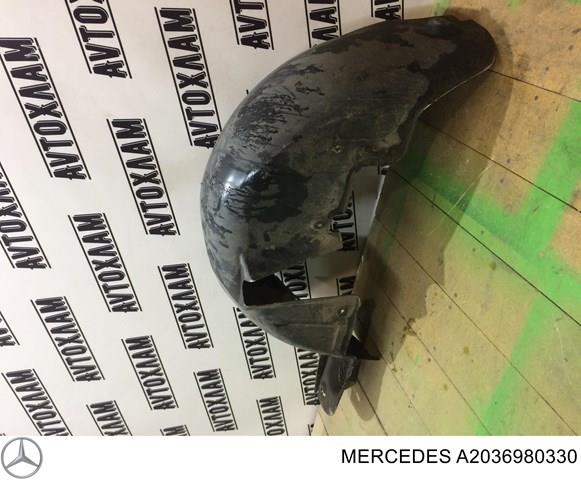 Guarda-barras do pára-lama traseiro esquerdo para Mercedes C (W203)