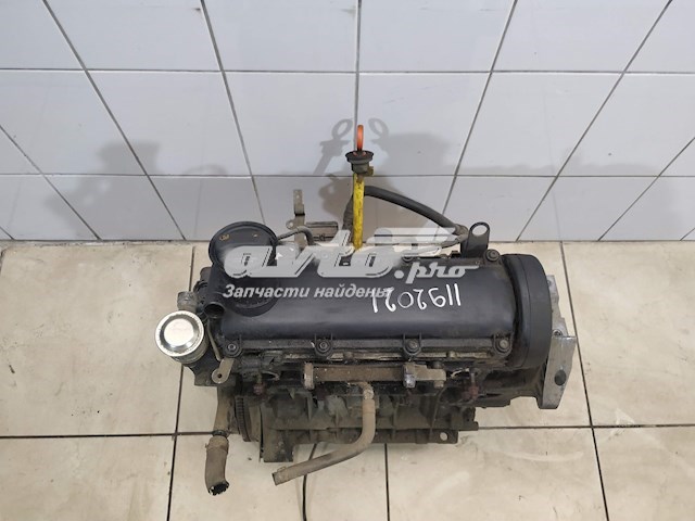 06A100098LX VAG Motor montado