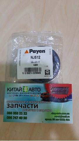 NJ612 PAYEN Anillo Reten Caja De Transmision (Salida Eje Secundario) original y equivalente