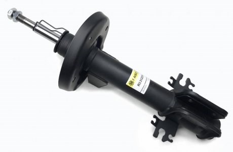 Амортизаторы передние Raiso RS312294
