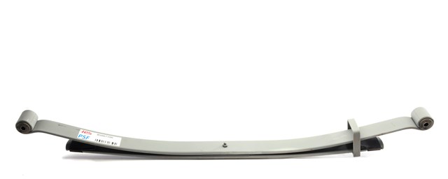 8500710019ZT TES Задние рессоры
