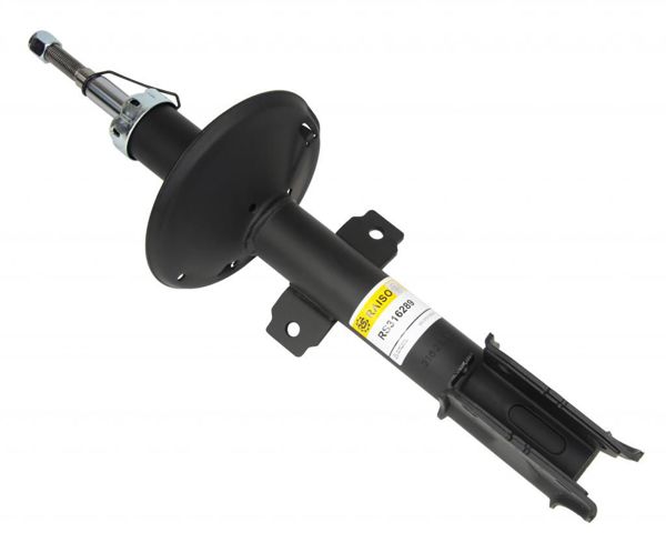Амортизаторы передние Raiso RS316289