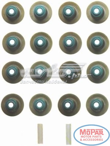  Fel-pro SS71041