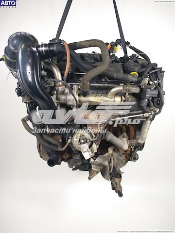 RHRDW10BTED4 Peugeot/Citroen Motor montado