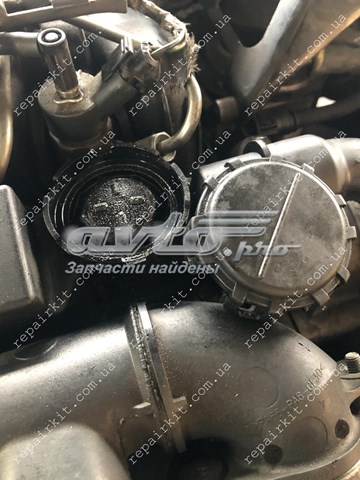  Klifex KL31259241
