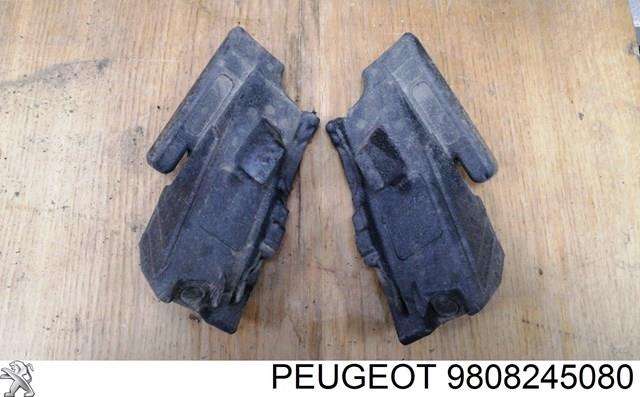  9808245080 Peugeot/Citroen