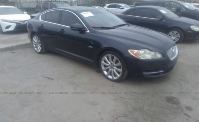 8X23F16854 Jaguar 
