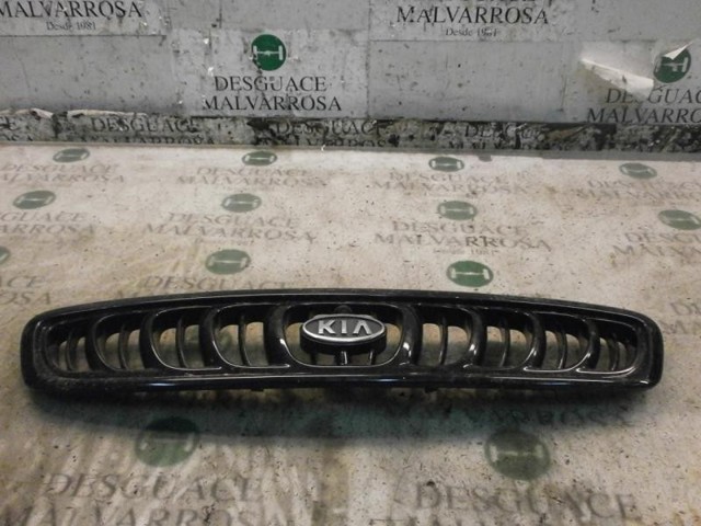 Grelha do radiador para KIA Carnival (UP)