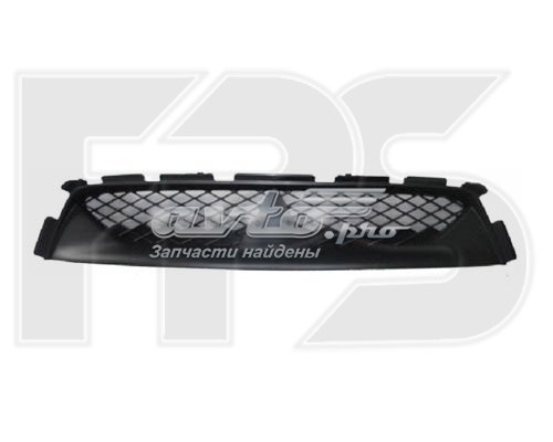 FP4819909 FPS Grelha do radiador