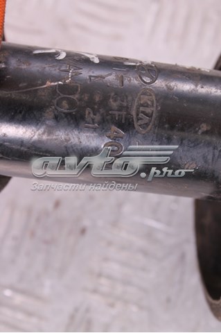 Амортизатор передний 546113F400 Hyundai/Kia
