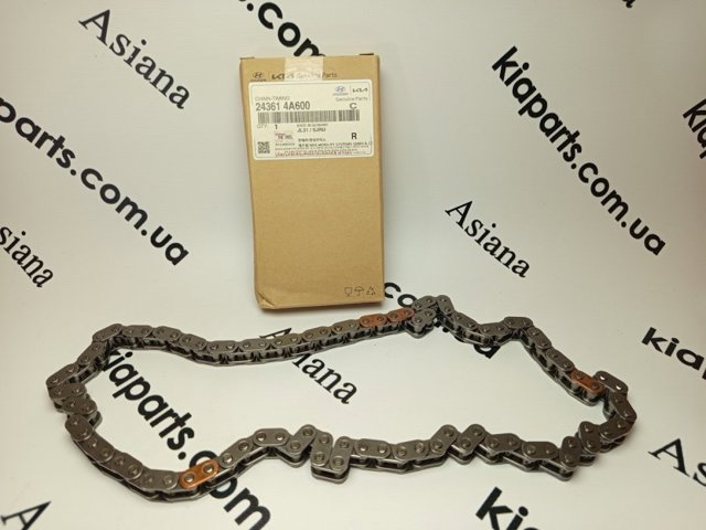 243614A600 Hyundai/Kia Цепь