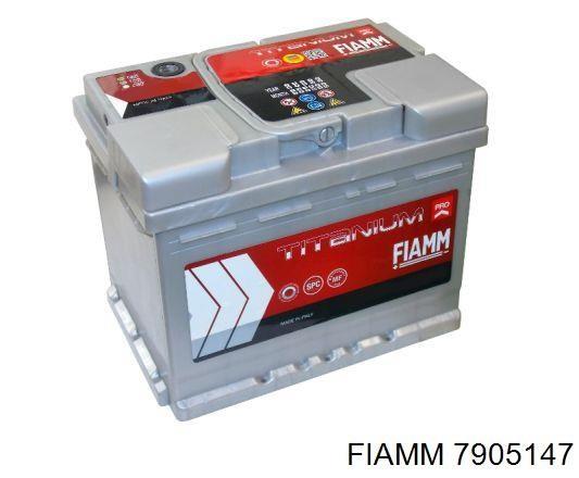 7905147 Fiamm 