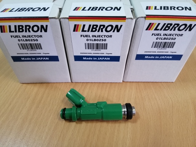 01LB0250 Libron Топливные форсунки