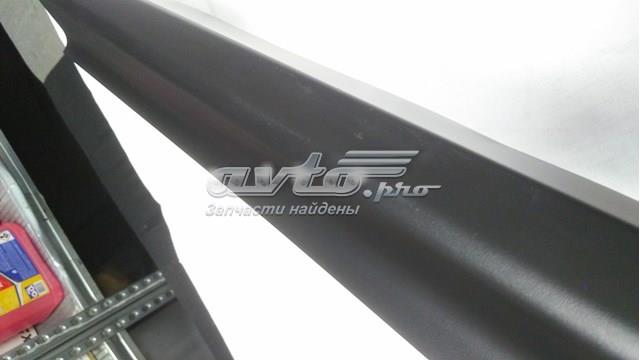Молдинг двери задней правой нижний Nissan/Infiniti 828705NA0A цена, от 56.43 USD