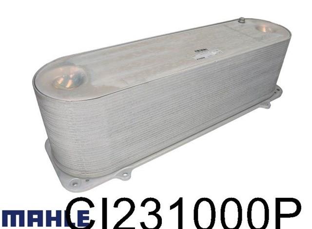 CI231000P Mahle Original 