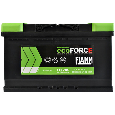 7906196 Fiamm 