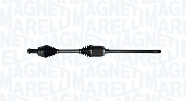 TDS0131 Magneti Marelli 