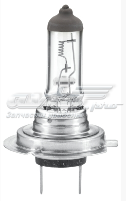 Лампочка галогенная H724V70W Tempest