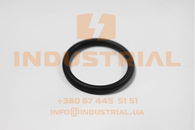 42577079 Iveco 