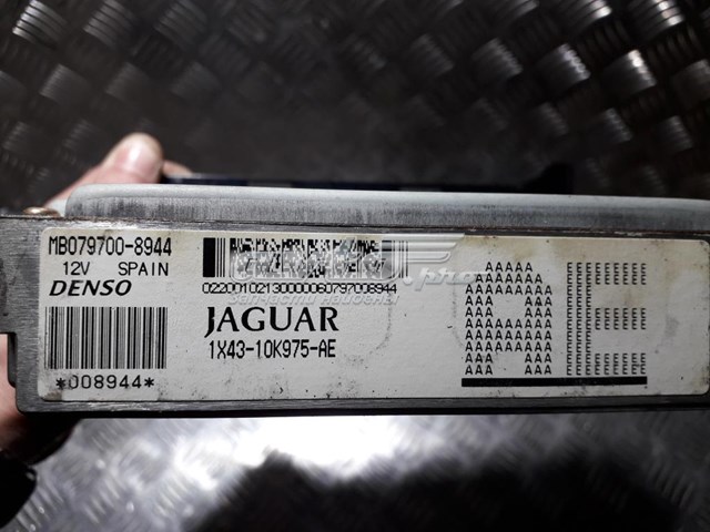  Jaguar 1X4310K975AE
