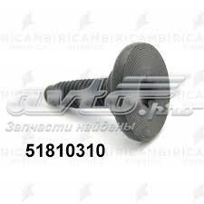 51810310 Fiat/Alfa/Lancia parafuso (porca de fixação)