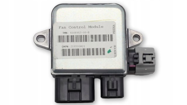  600895300B Tesla